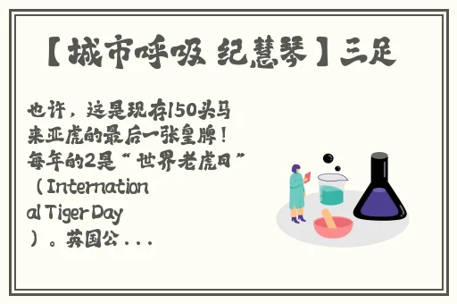 8x8x海外华人